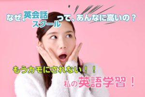 英語って、どうしてこんなに高いの？もうカモにされない英語！